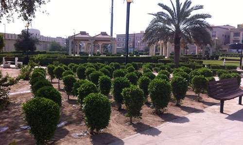 new-agricultural-beautification-project-starts-across-kuwait---paaafr_kuwait