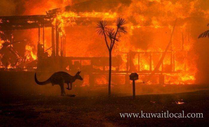 picture-of-burnt-baby-kangaroo-caught-in-fence-shows-how-destructive-australias-bush-fires-are_kuwait