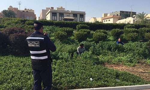 environmental-police-arrested-2-expats-for-cutting-grass_kuwait