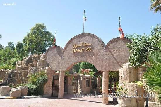 kuwait-zoo-stays-open_kuwait