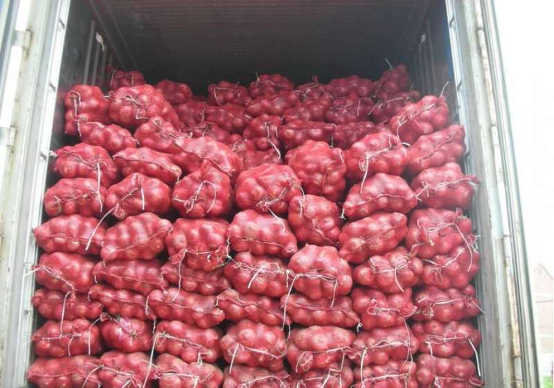 all-vegetables-fruits-and-onions-available-in-kuwait-central-vegetable-market_kuwait