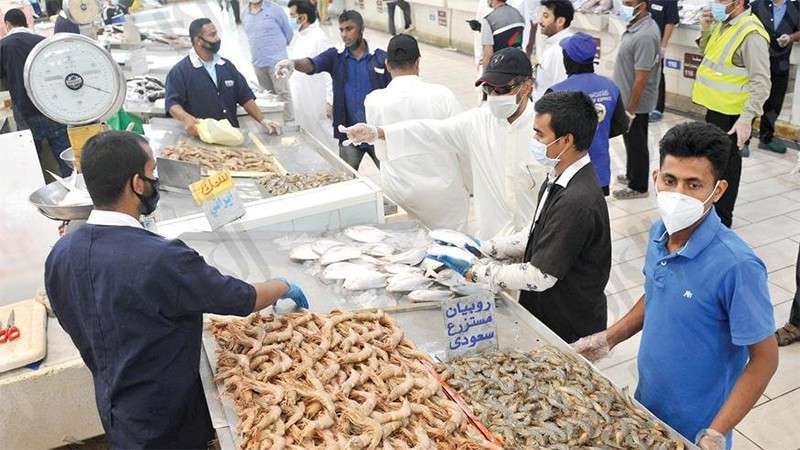 allow-fishing-of-shrimp-zubaidi-maide-to-cover-shortage-of-local-fish_kuwait