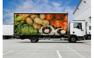 a-yemeni-expat-illegally-enters-kuwait-in-vegetables-truck_kuwait