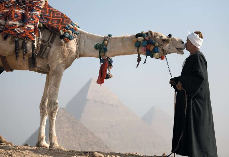 man-drinking-camel-urine-stirs-controversy_kuwait