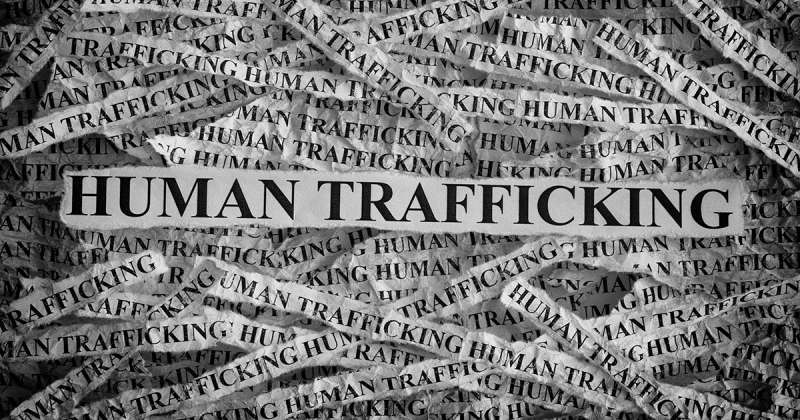 400-files-of-companies-referred-to-the-public-prosecution-for-human-trafficking_kuwait