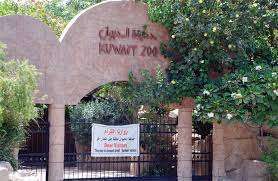 indian-beaten-robbed-in-front-of-the-omariya-zoo_kuwait