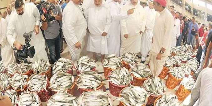 auction-of-local-fish-returns-to-normal_kuwait