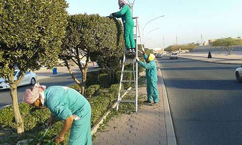 new-contracts-to-beautify-kuwait---paaf_kuwait