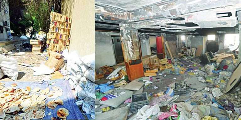 hawally-infested-with-mice-cats-stray-dogs--corona-blamed_kuwait