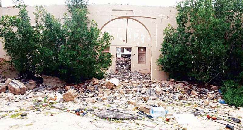 northern-shuwaikh-ghost-town--a-hotbed-for-stray-dogs-cats_kuwait