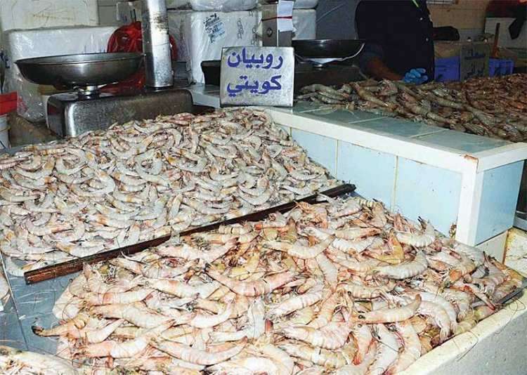 shrimp-fishing-season-extended-to-feb-1_kuwait