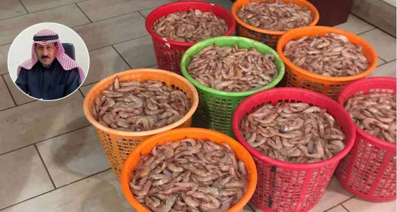 shrimp-fishing-season-ends-on-the-first-of-february_kuwait