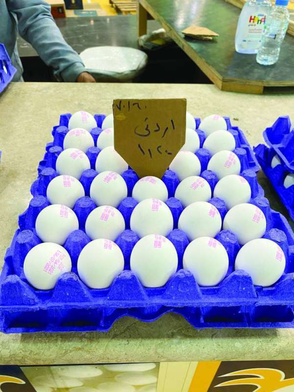 local-eggs-slowly-returning-to-kuwait-markets_kuwait