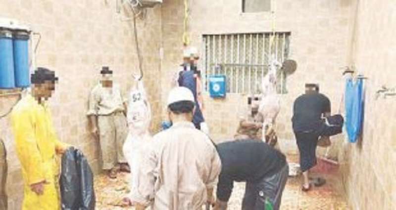 mobile-butchers-face-arrest-kd-700-fine-warns-interior_kuwait