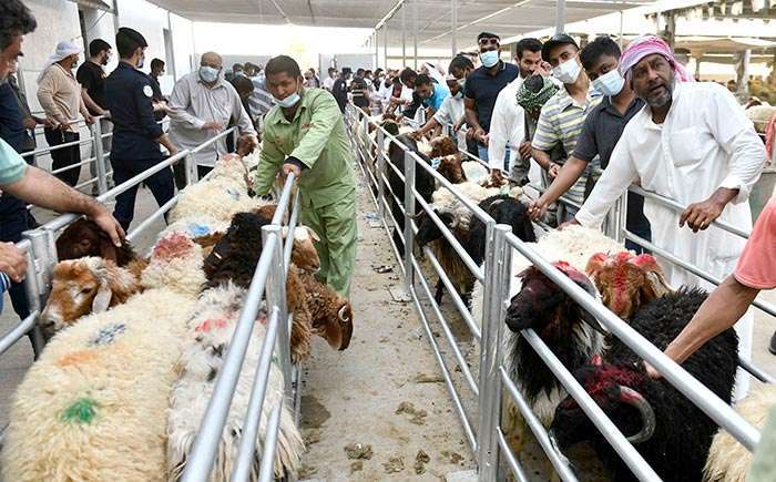 people-head-to-kuwait-slaughter-houses-first-day-of-eid_kuwait