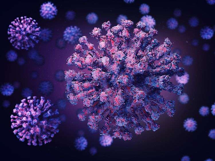 who-monitoring-new-coronavirus-variant-named-mu_kuwait