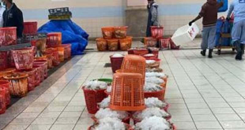 price-of-big-shrimps-basket-at-sharq-market-reaches-kd85_kuwait