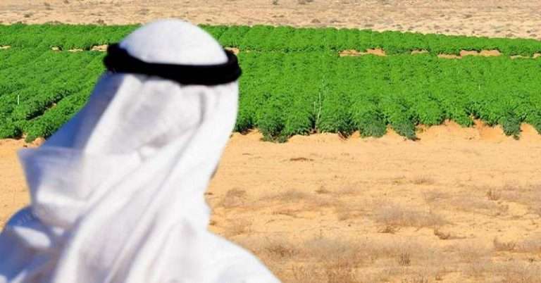 global-food-crisis-hasnt-affected-gulf-countries_kuwait