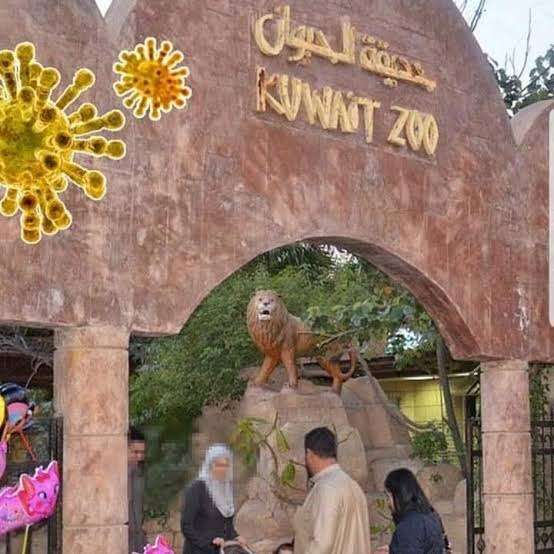Kuwait Zoo Has Been Closed Since March 2020. | Kuwait Local