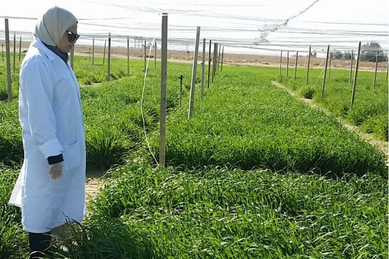 6-agricultural-plots-are-being-investigated-and-property-seized_kuwait
