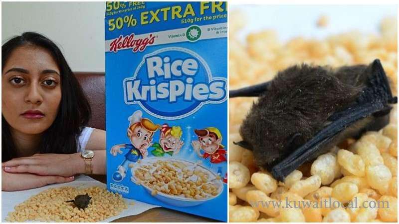 dead-bat-in-rice-krispies_kuwait