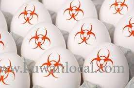 denmark-eggs-banned-due-to-outbreak-of-bird-flu_kuwait