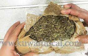 8-kilos-of-marijuana-seized_kuwait