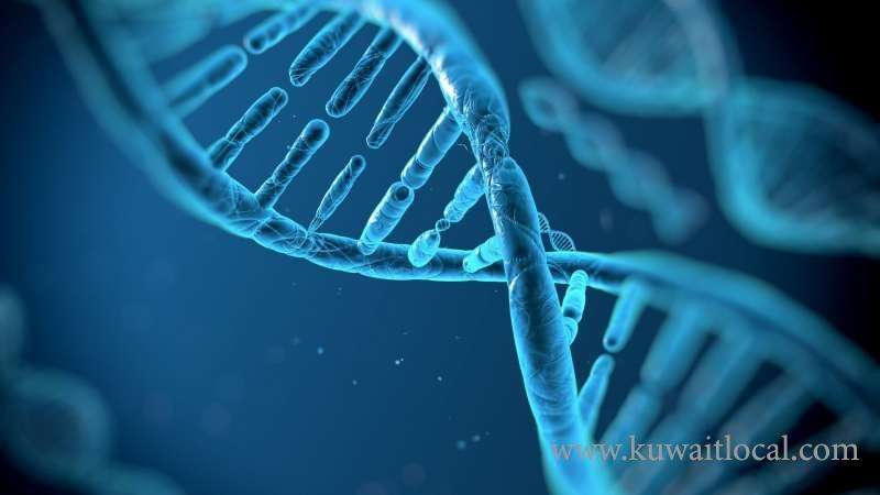 -proposal-to-amend-the-dna-law_kuwait